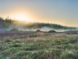 IMGP8322_HDR_Morgenstemning